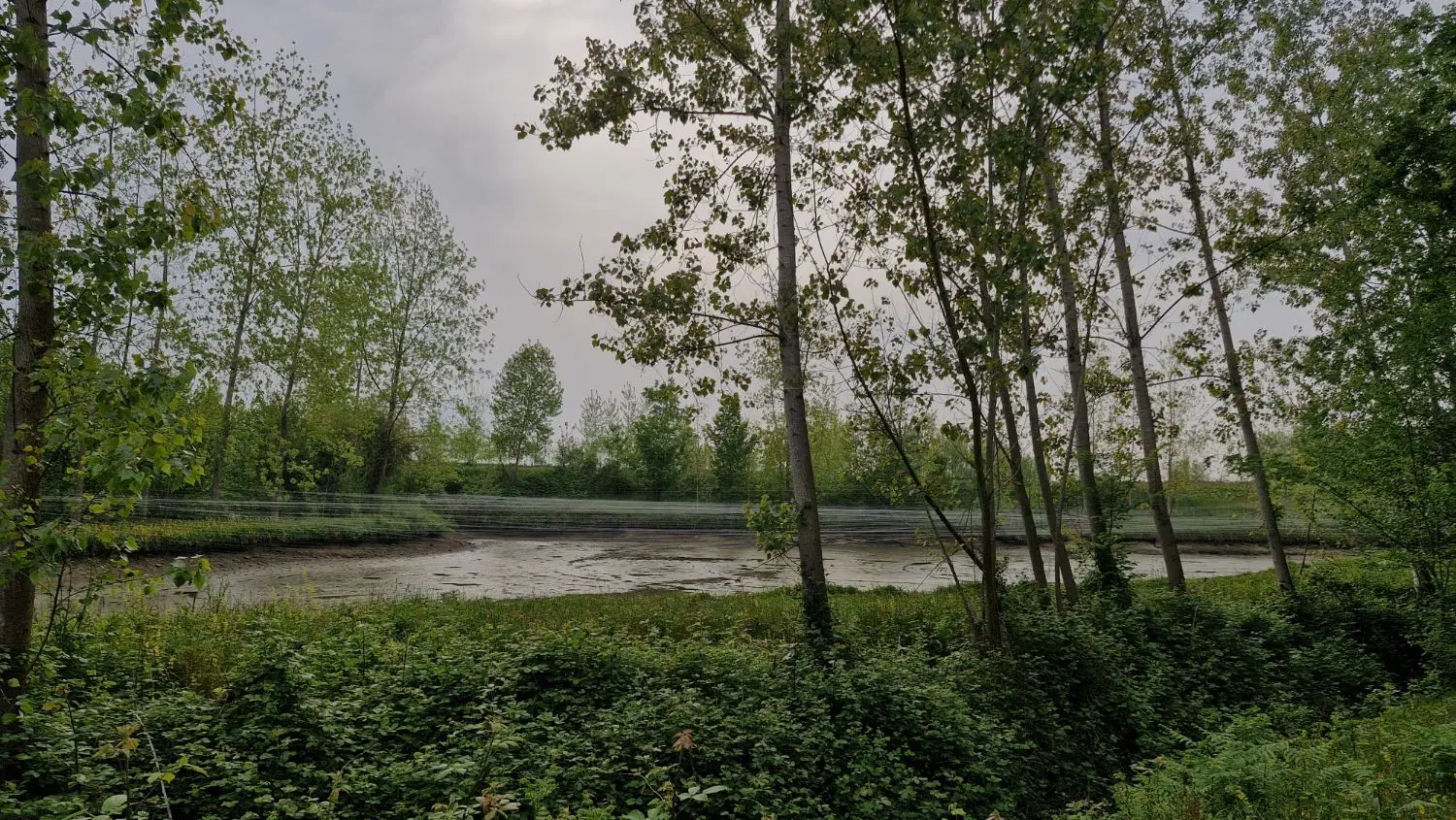 تصویر املاک 43705