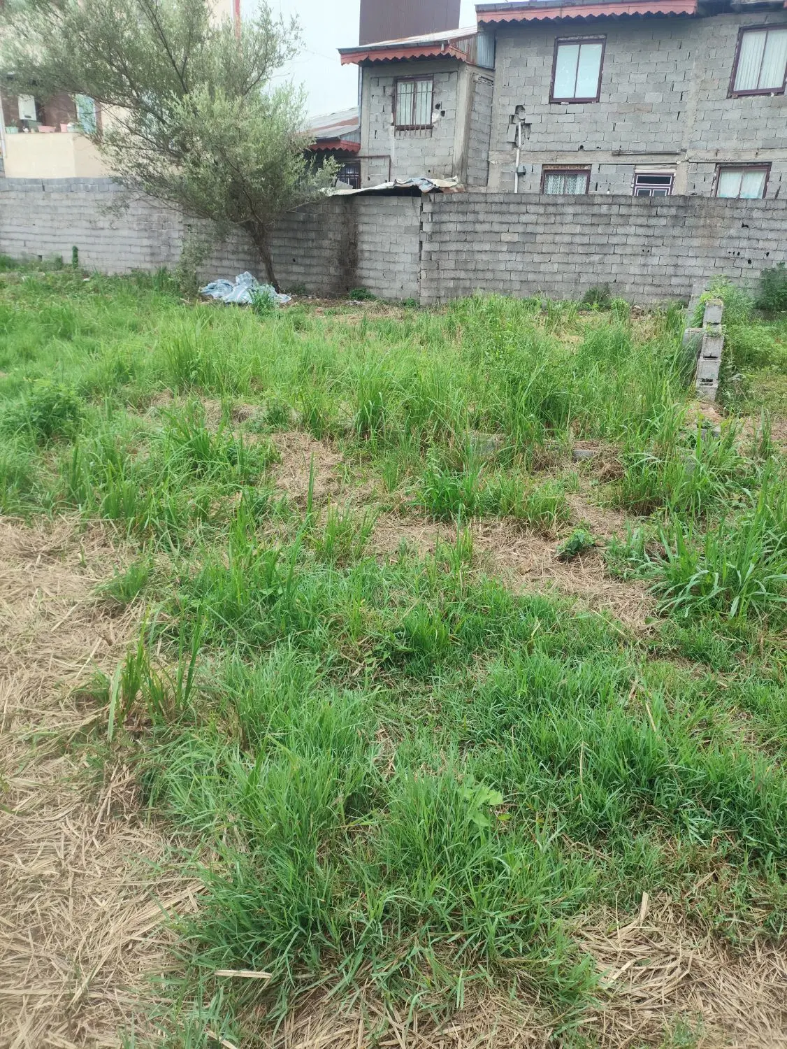 تصویر املاک 99528