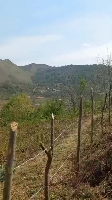 تصویر املاک 143070