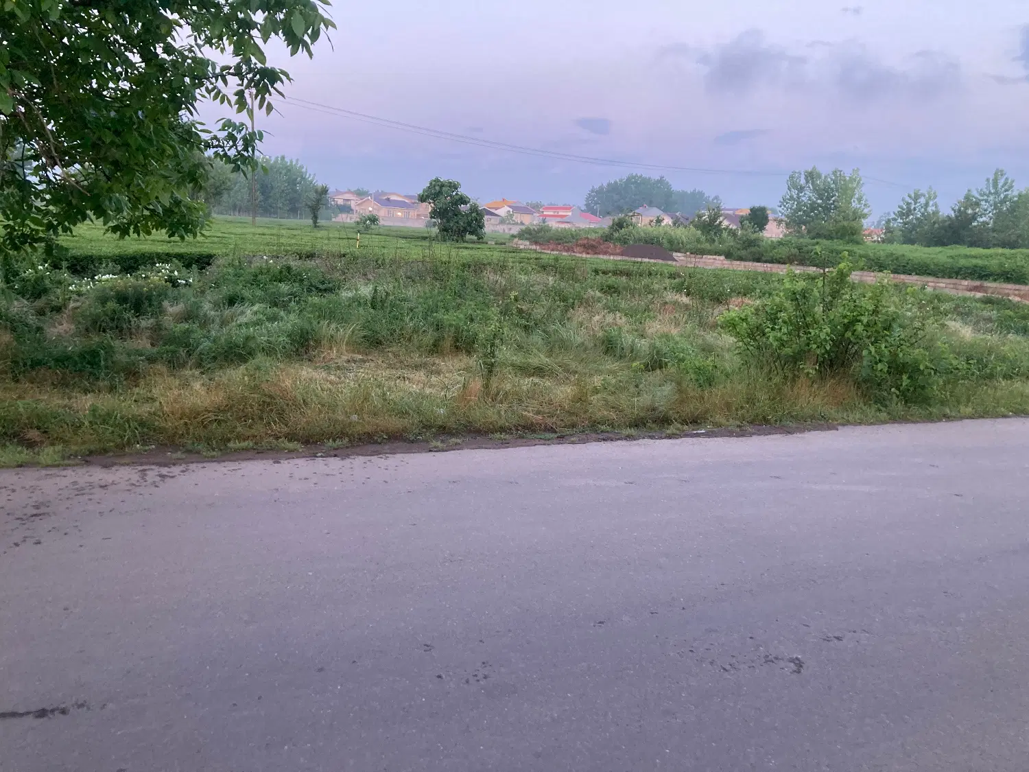 تصویر املاک 44728