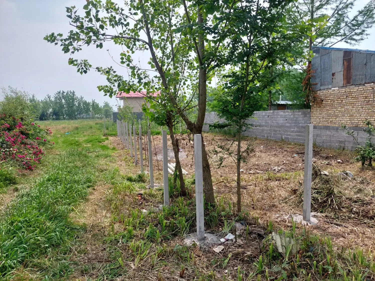 تصویر املاک 53451