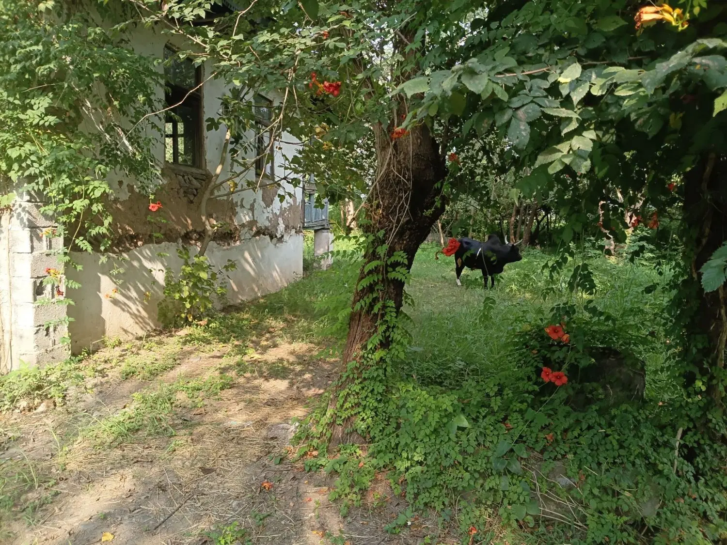 تصویر املاک 131534