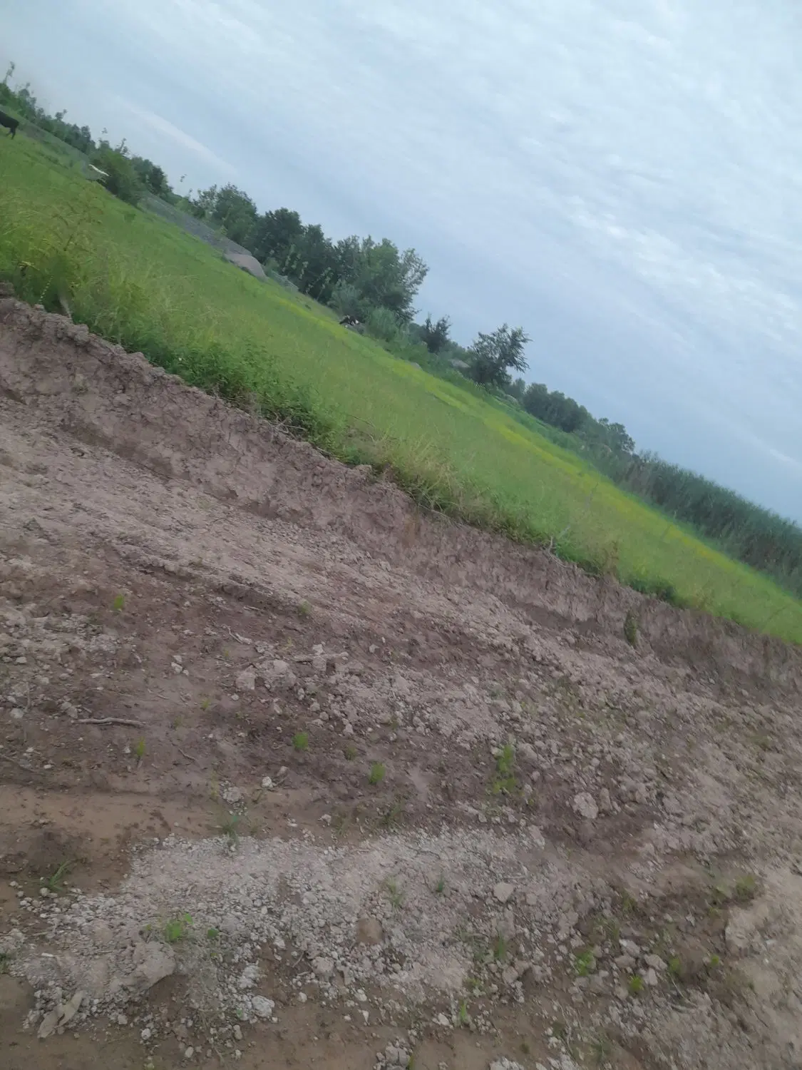 تصویر املاک 80566