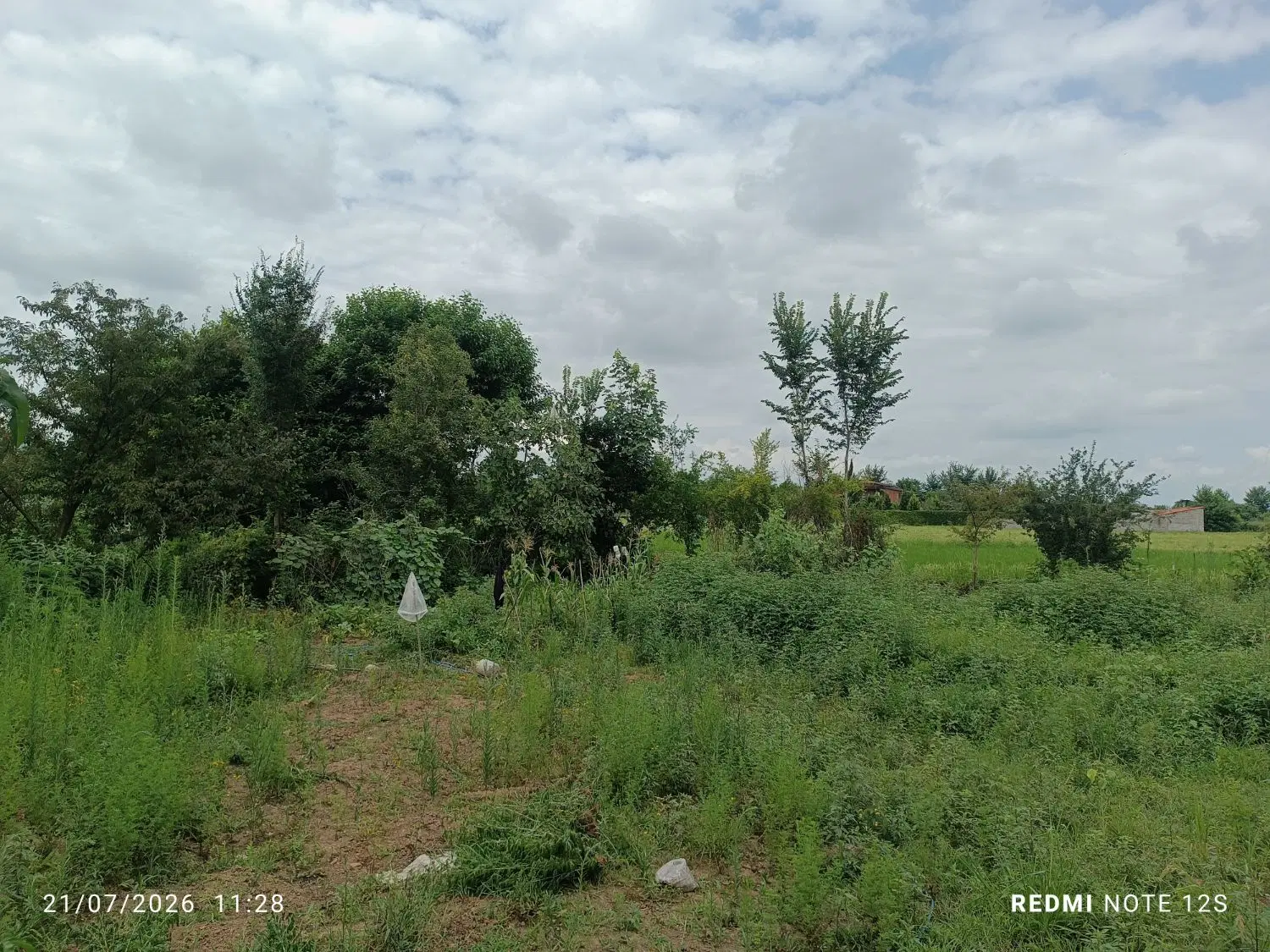 تصویر املاک 90075