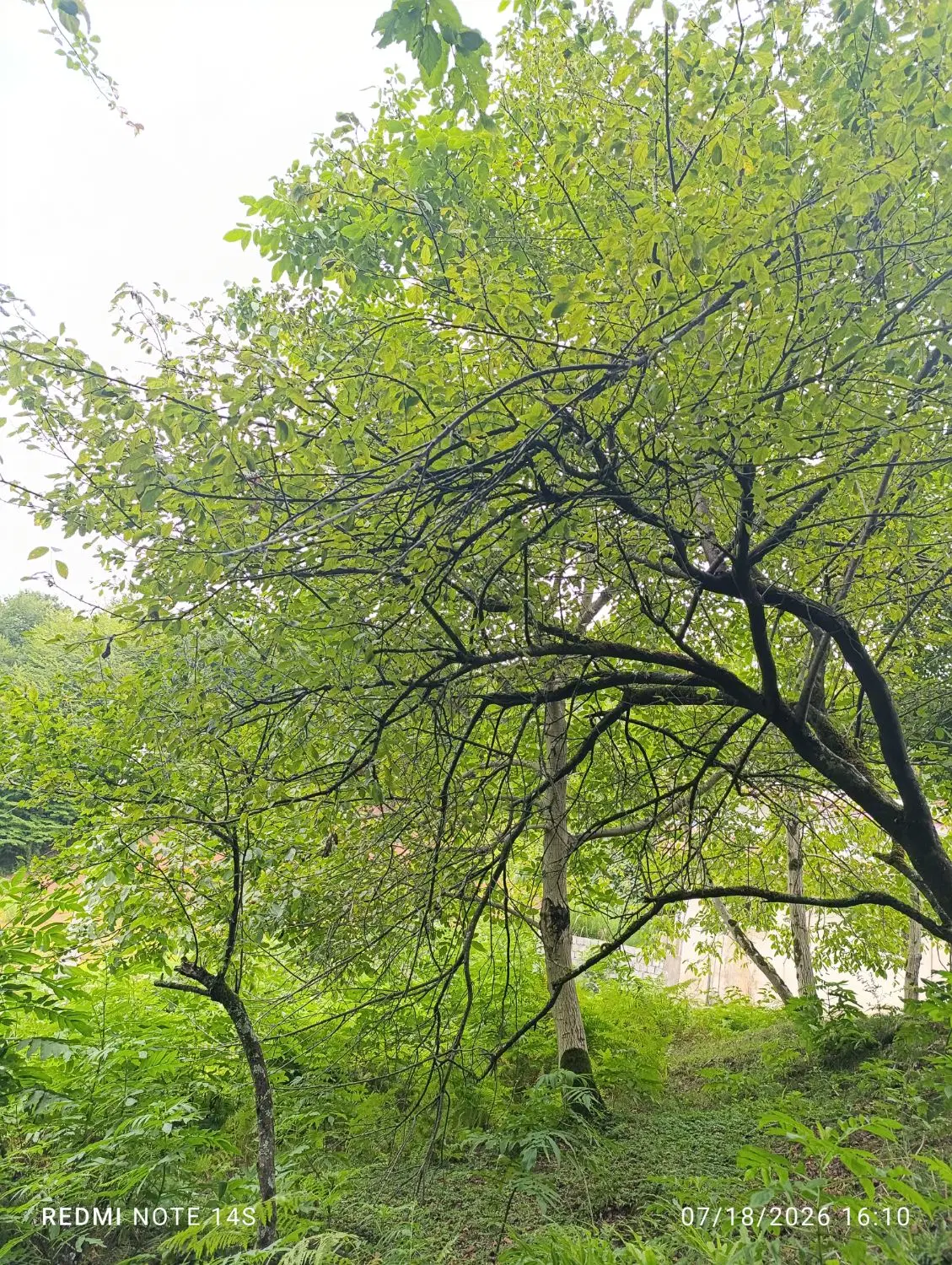 تصویر املاک 83306