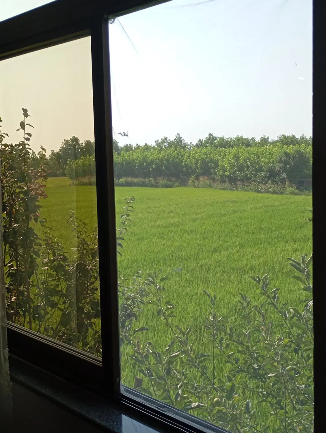 تصویر املاک 117448