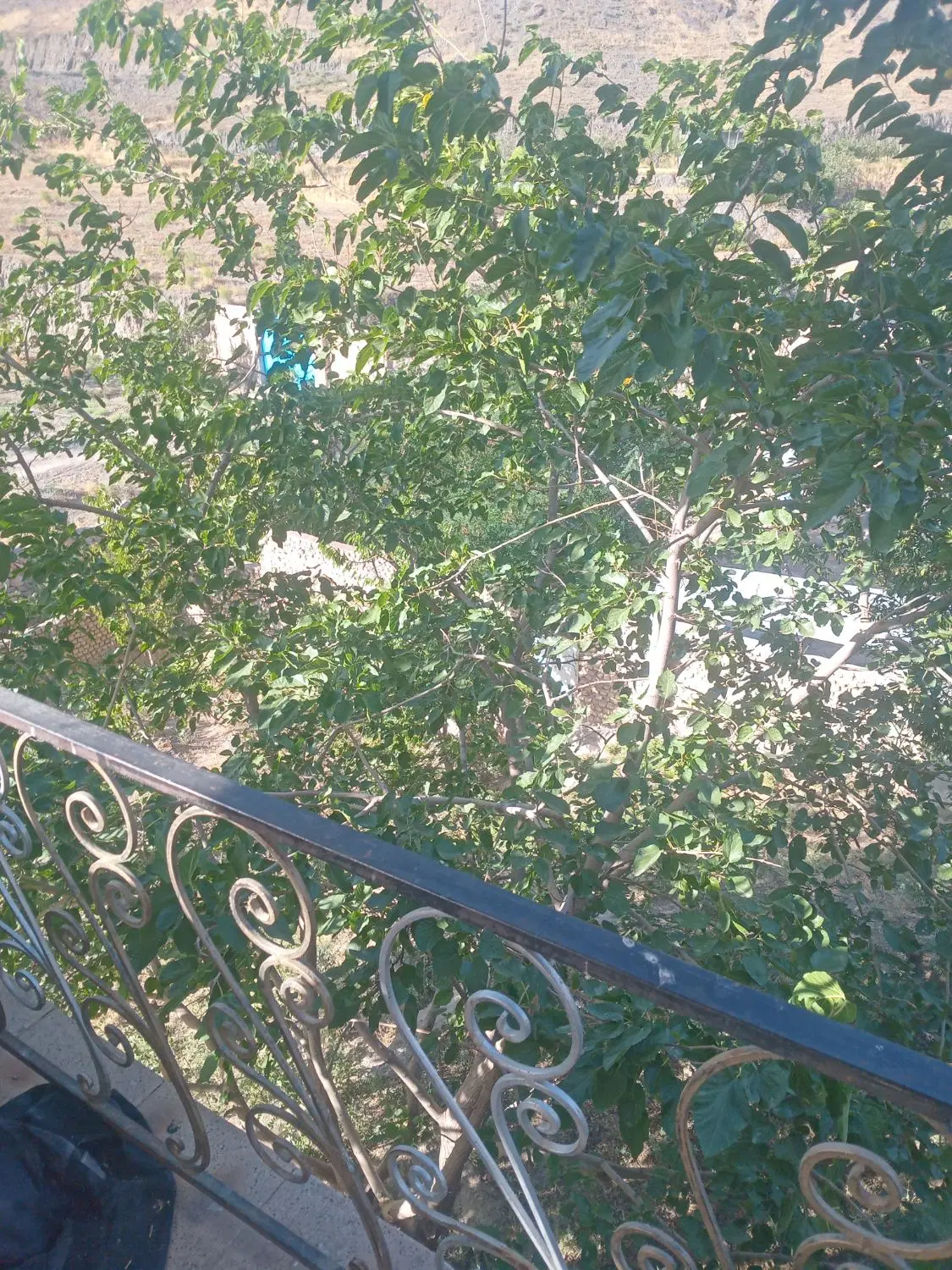 تصویر املاک 120336