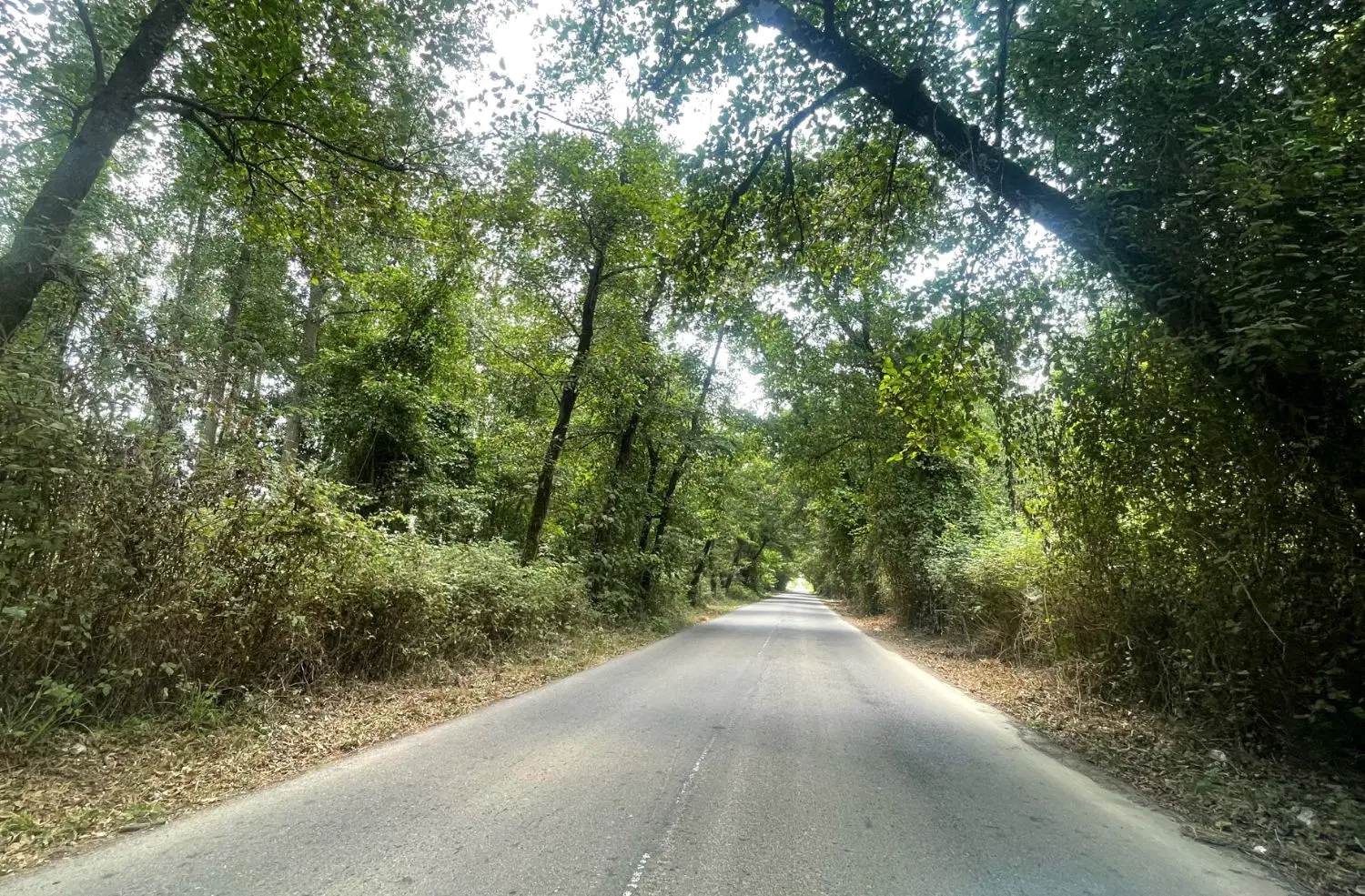 تصویر املاک 121168