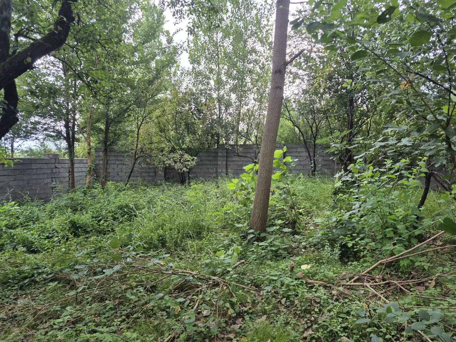 تصویر املاک 77237