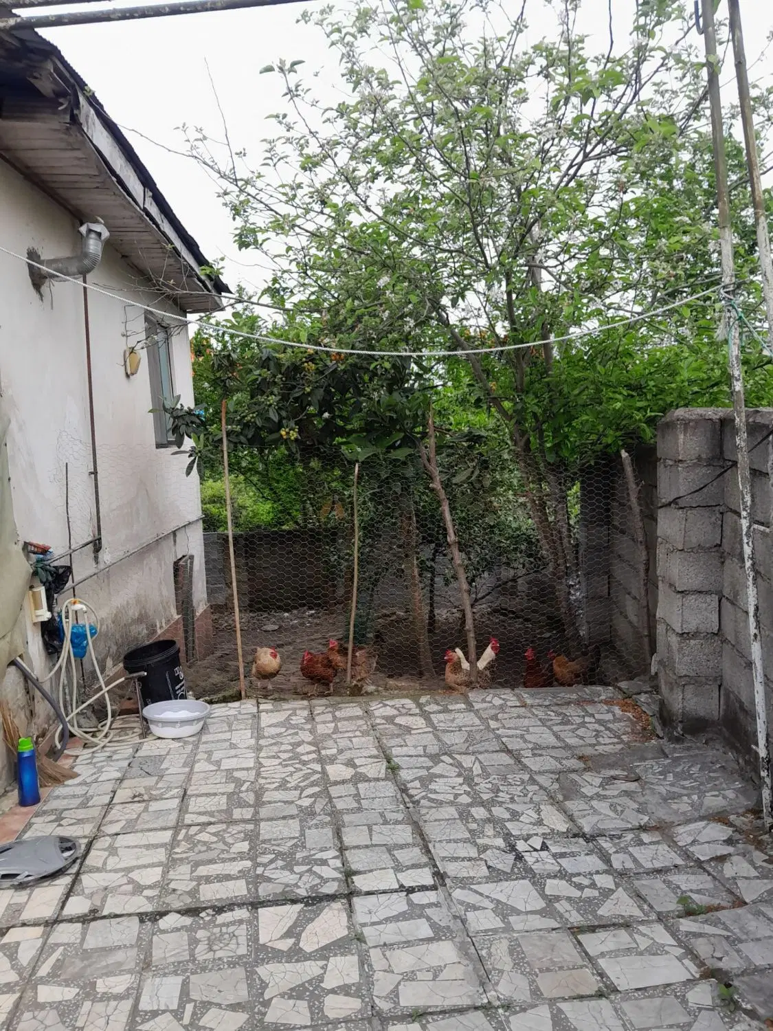 تصویر املاک 100804