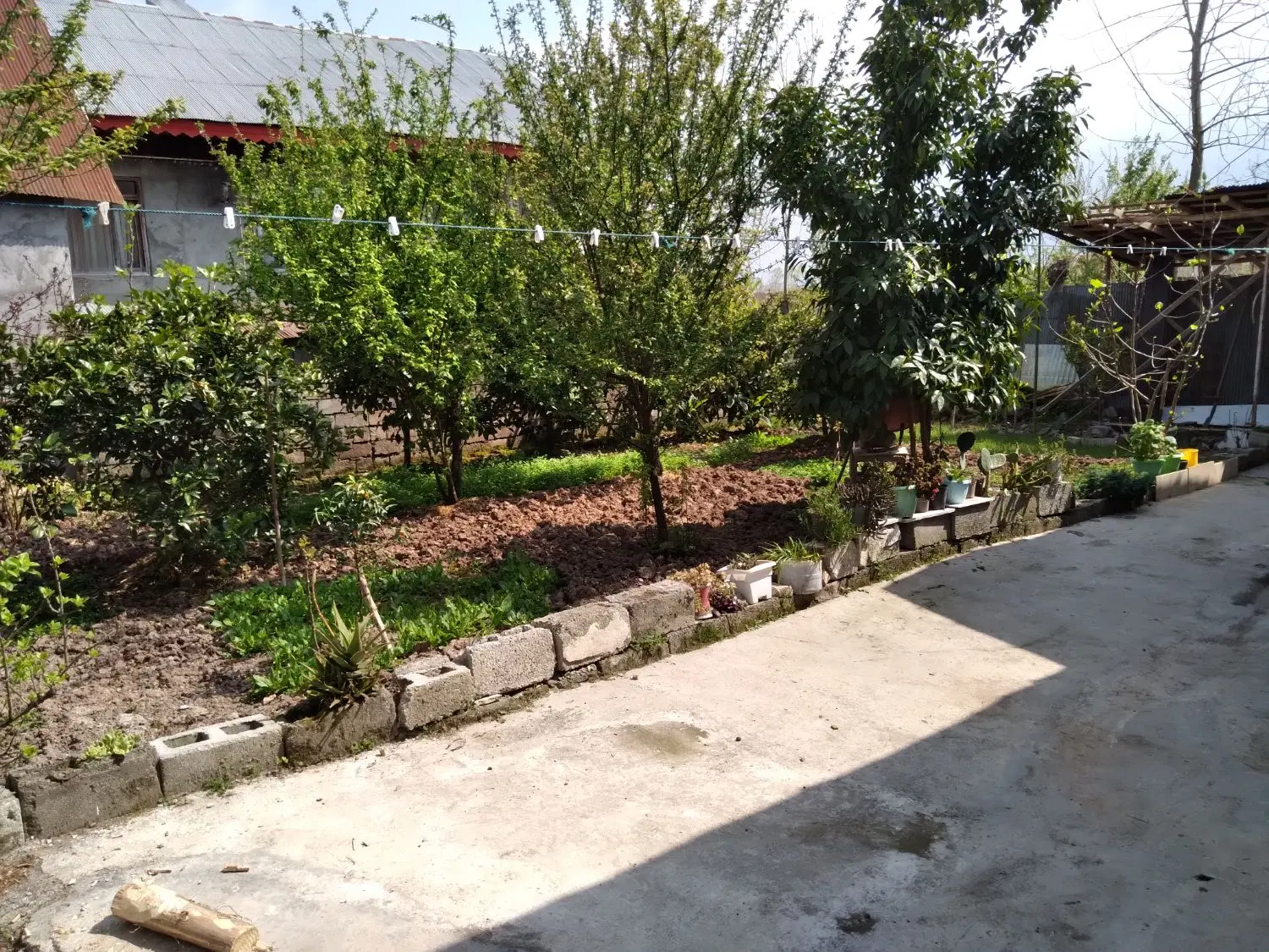تصویر املاک 103839