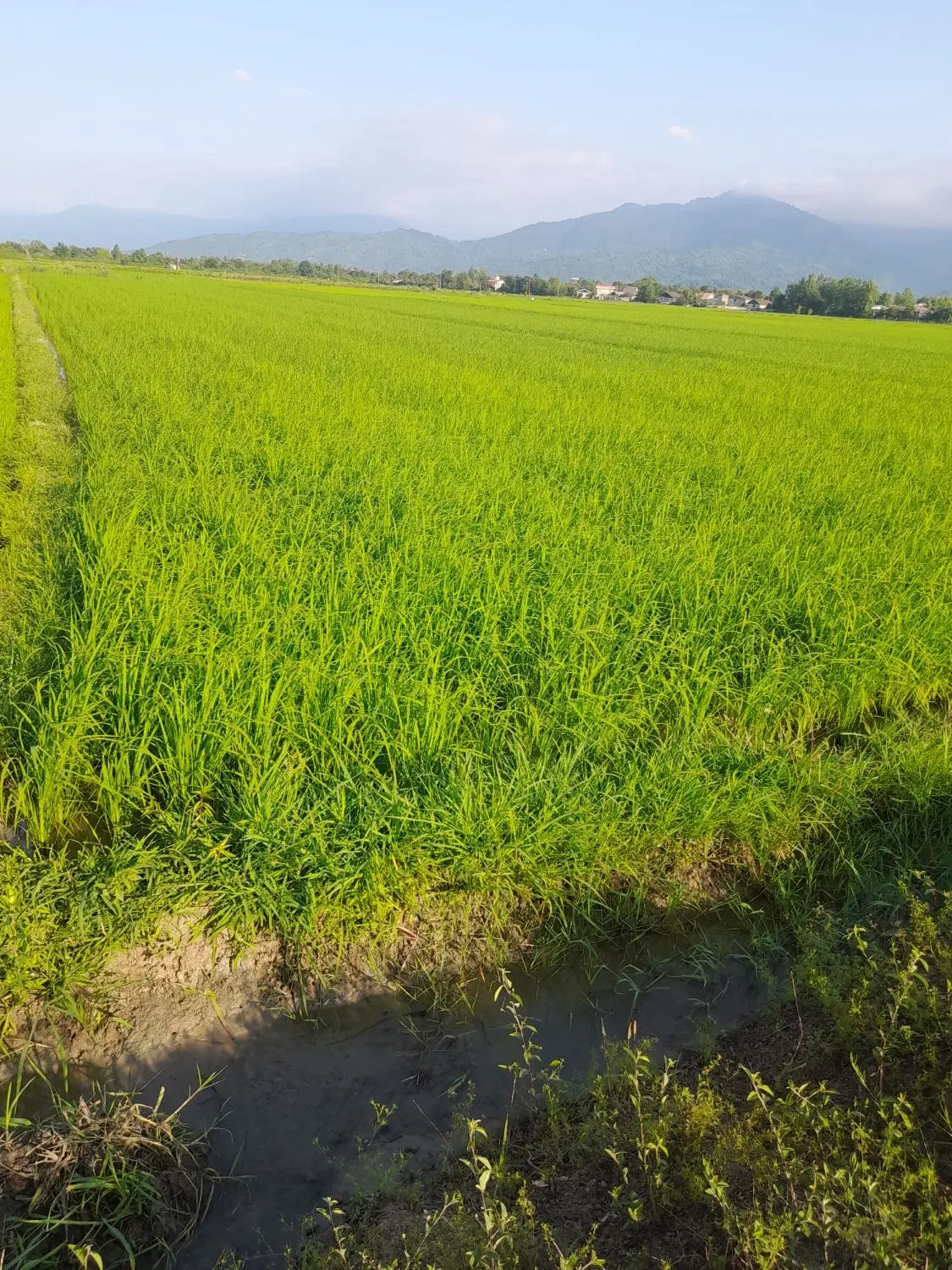 تصویر املاک 129104