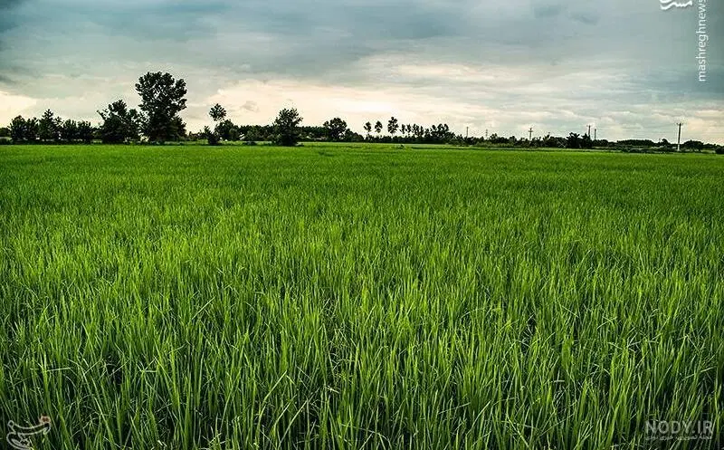 تصویر املاک 127957