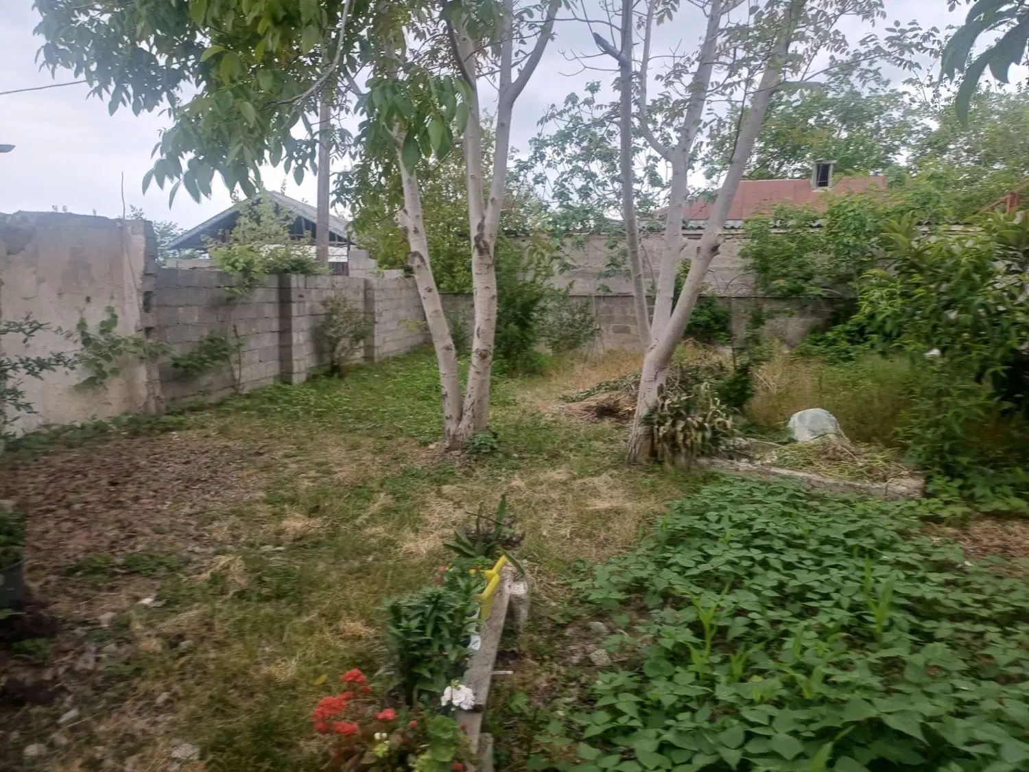 تصویر املاک 73278