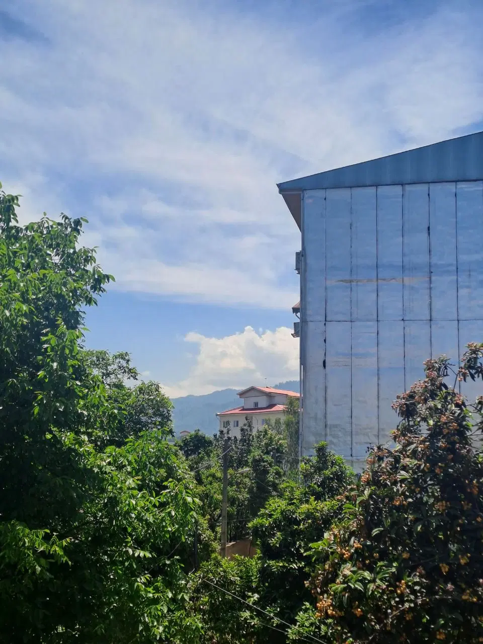 تصویر املاک 99098