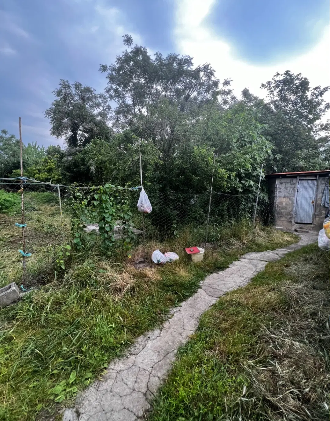 تصویر املاک 43066