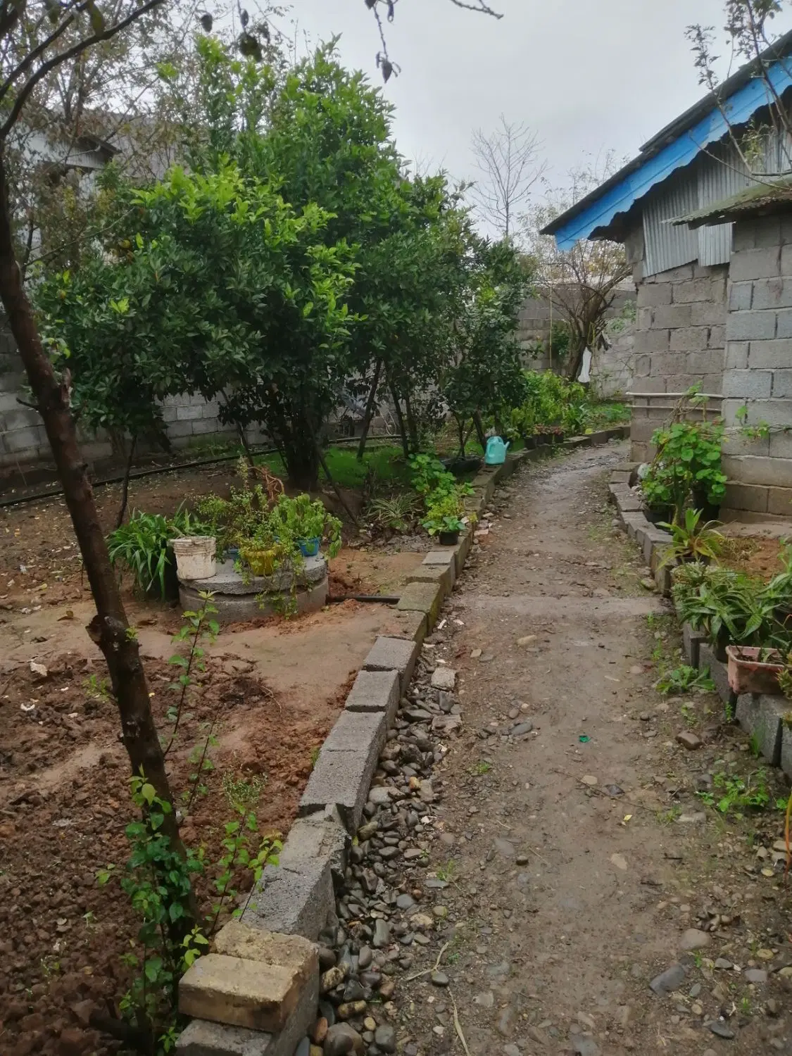 تصویر املاک 127699