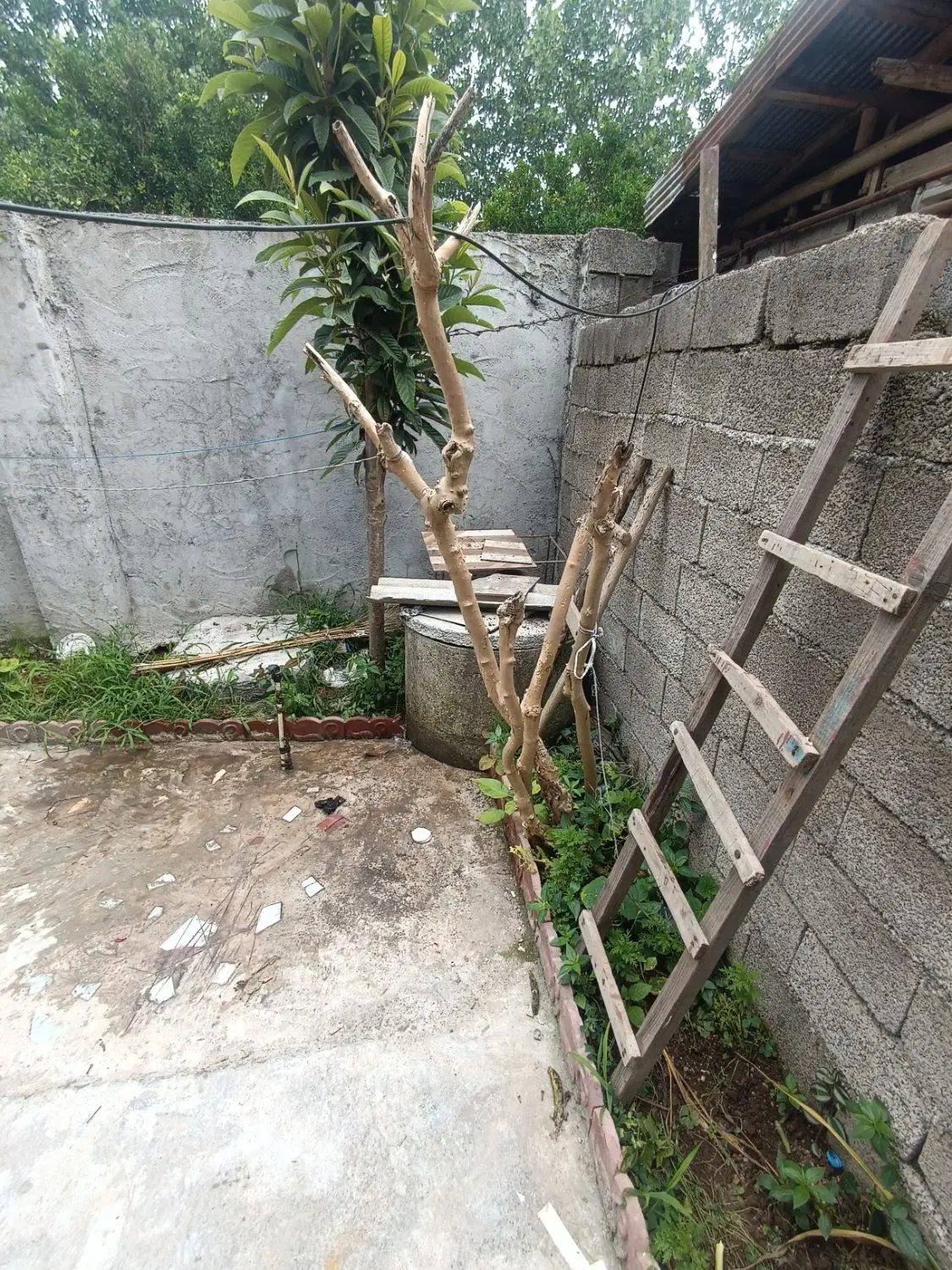 تصویر املاک 66568