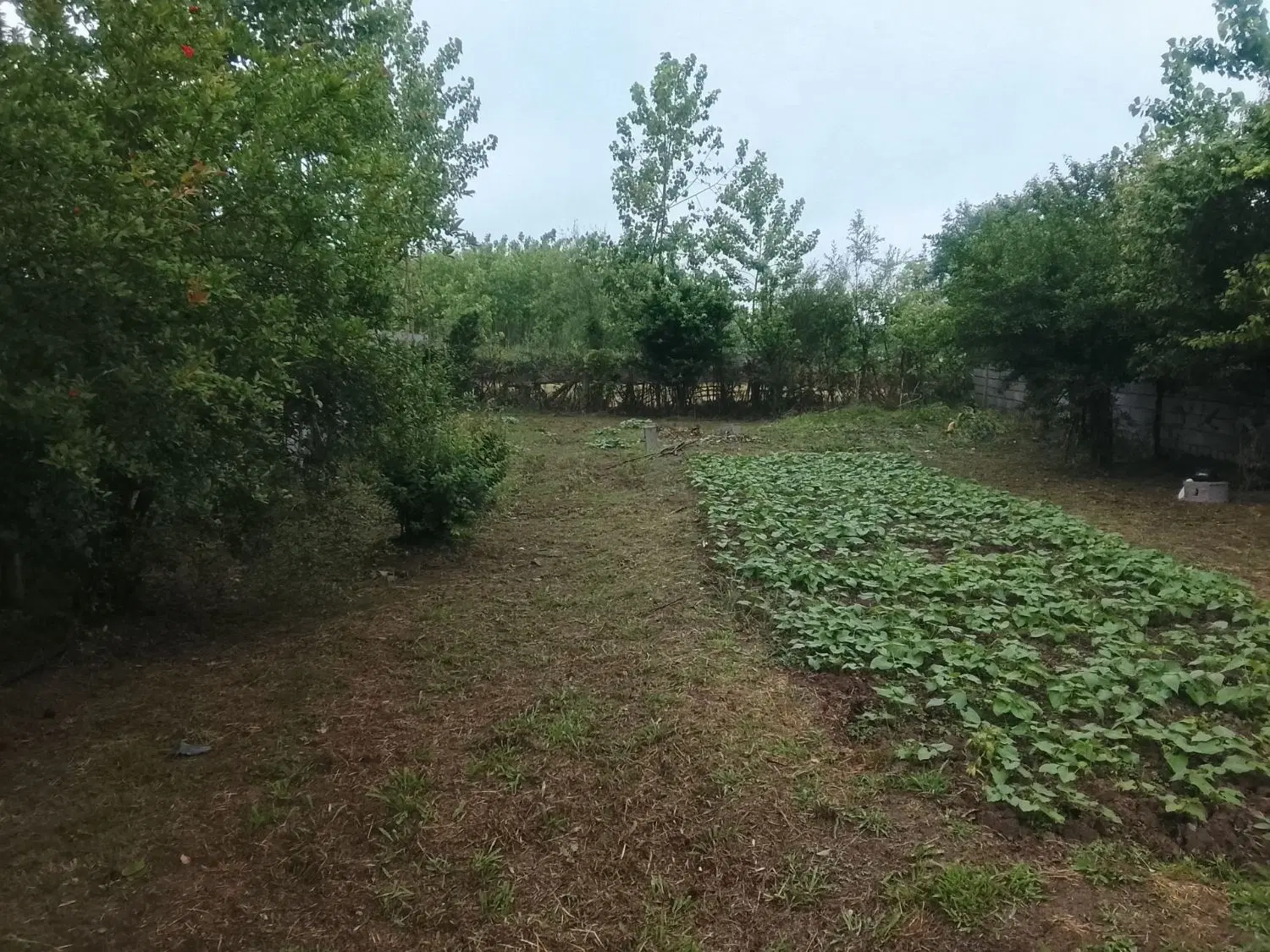تصویر املاک 87838