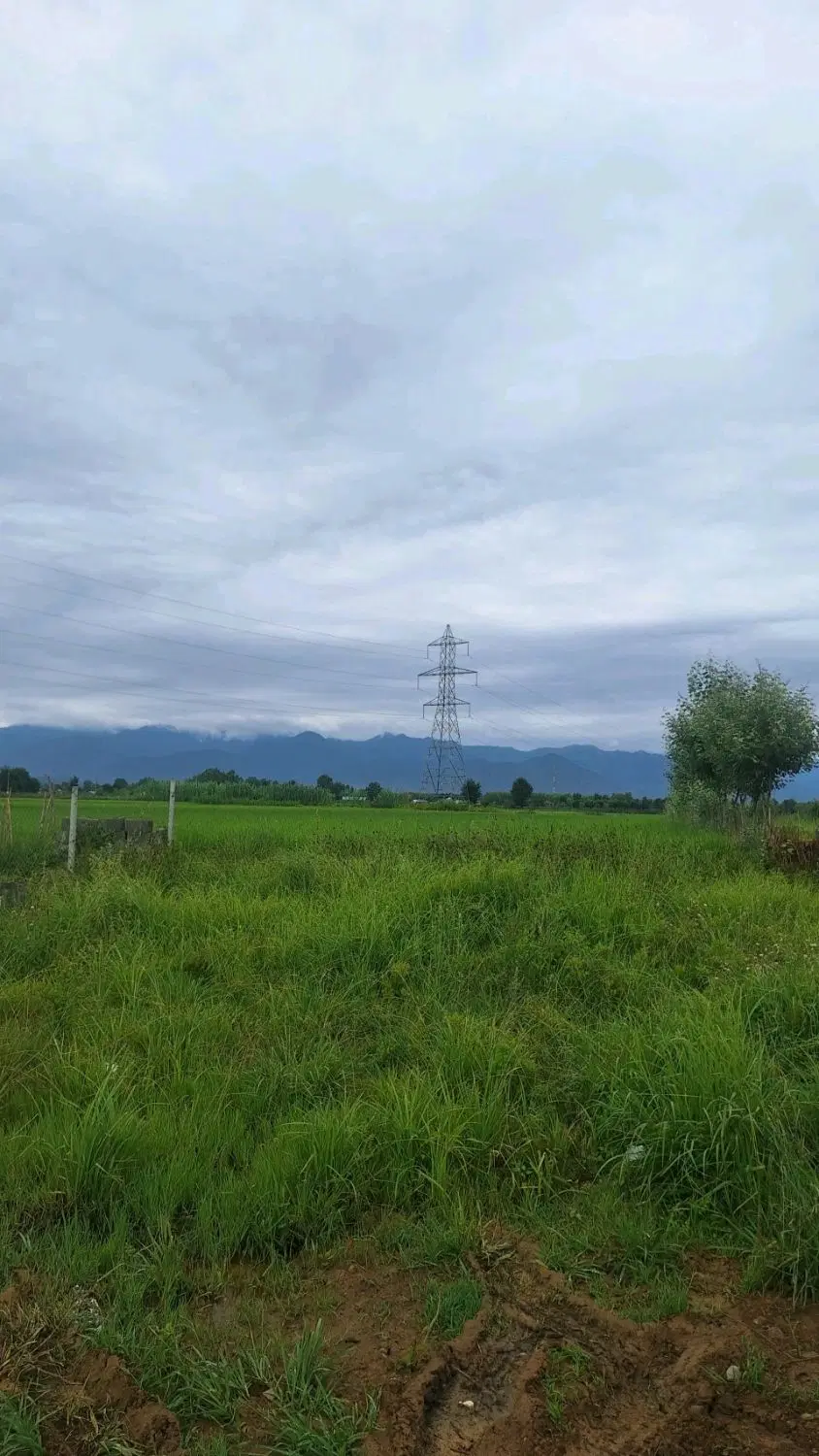 تصویر املاک 70976