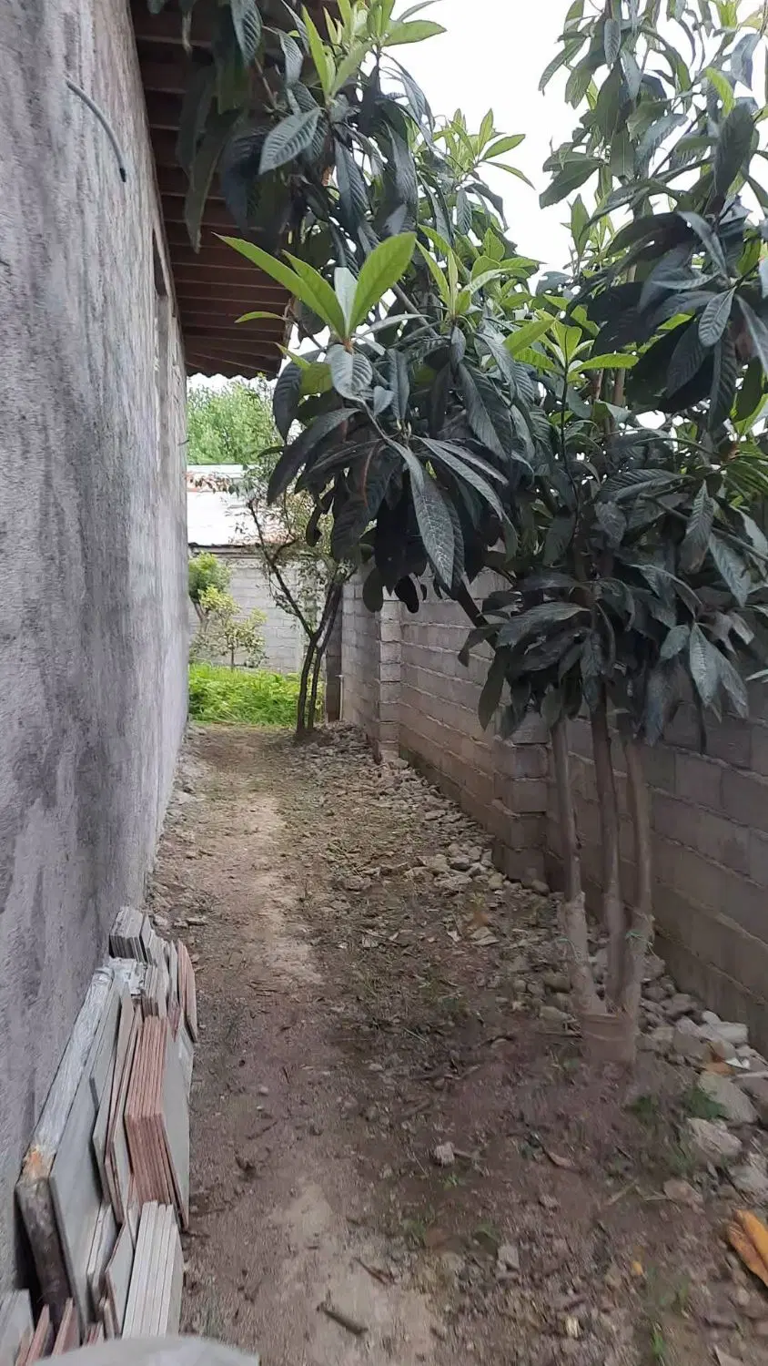 تصویر املاک 74513