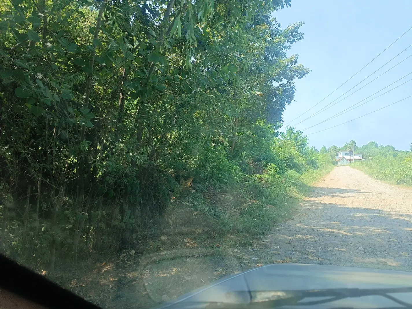 تصویر املاک 92077