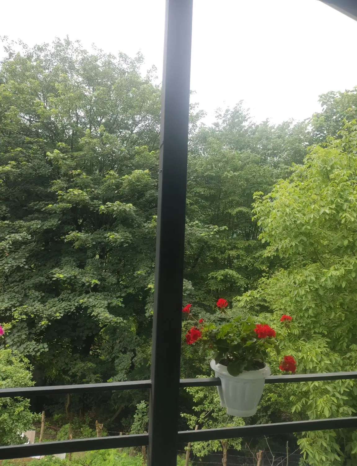 تصویر املاک 96713