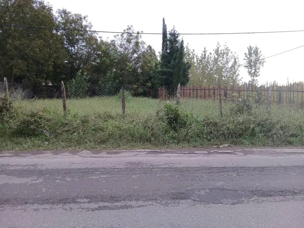 تصویر املاک 118110