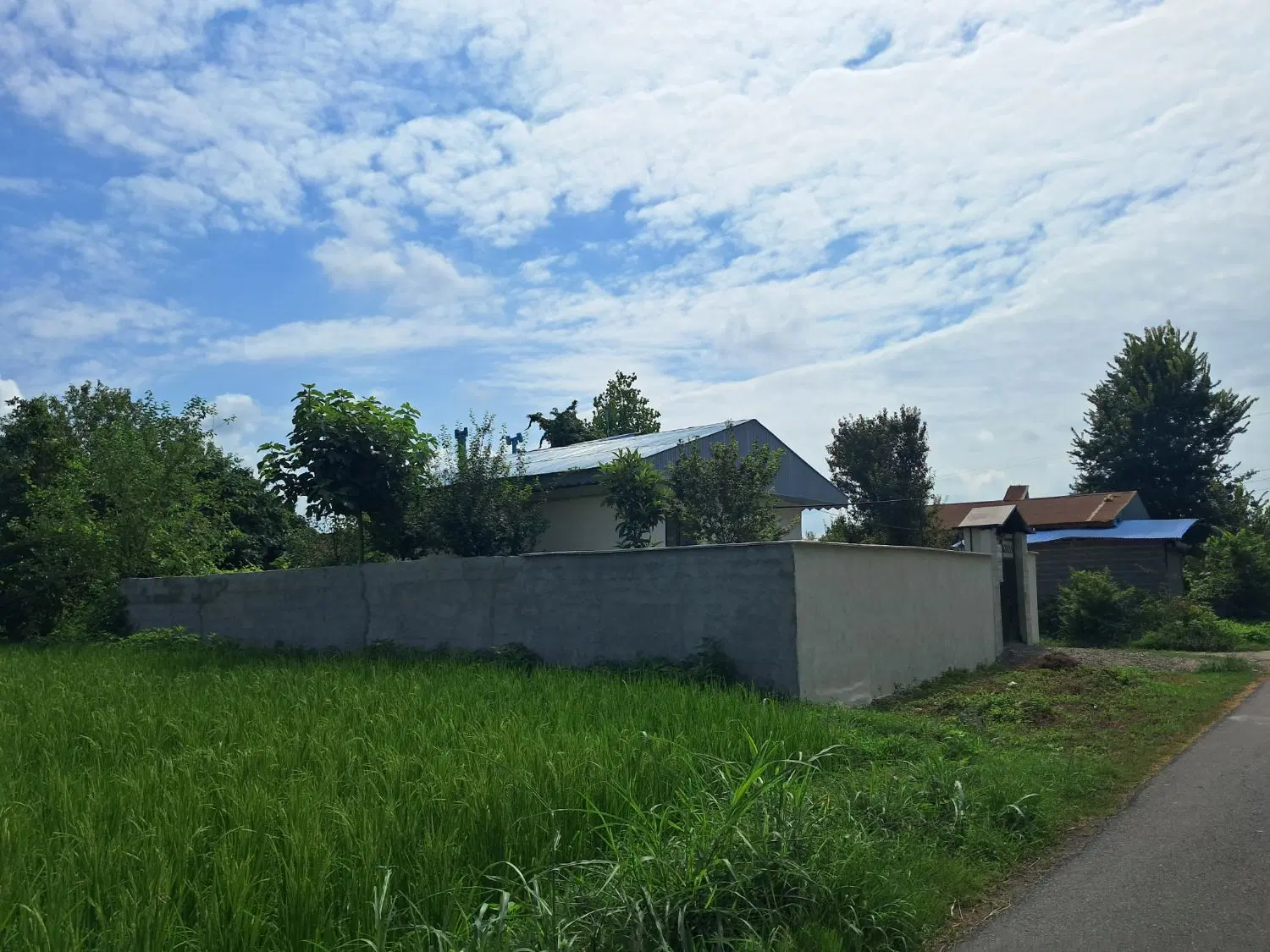 تصویر املاک 81493