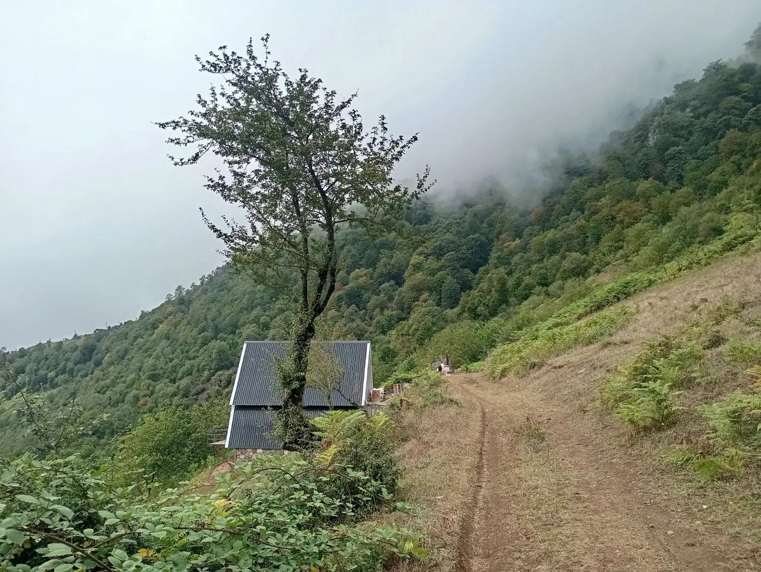 تصویر املاک 117274