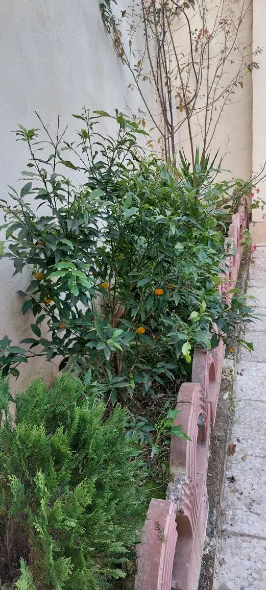 تصویر املاک 62740