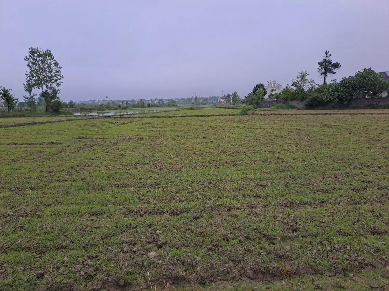 تصویر املاک 89272