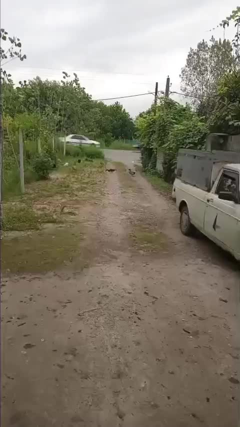 تصویر املاک 138959