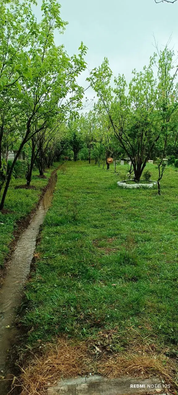تصویر املاک 95509