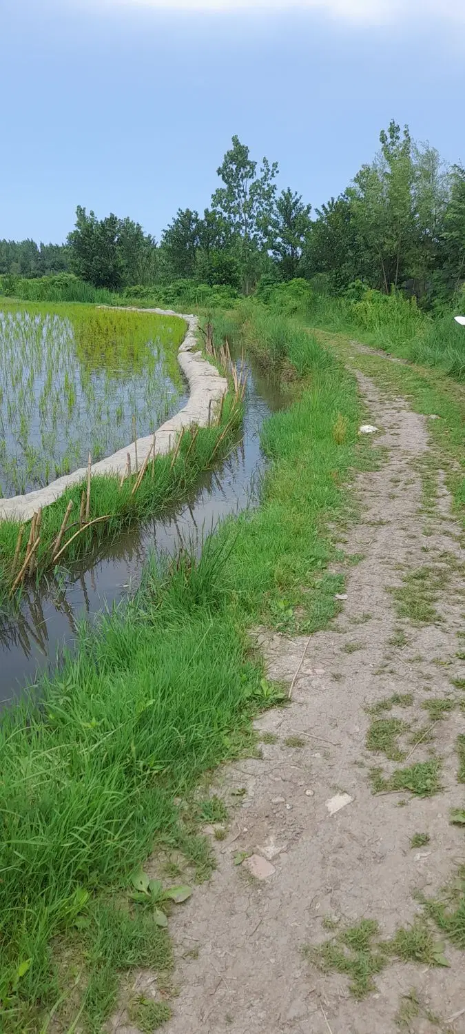 تصویر املاک 49103