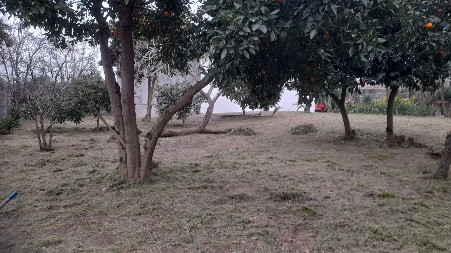 تصویر املاک 44691