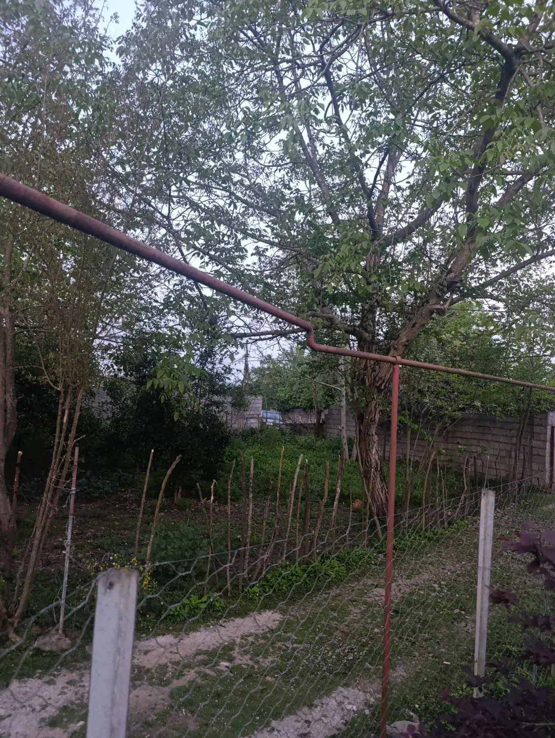 تصویر املاک 80976