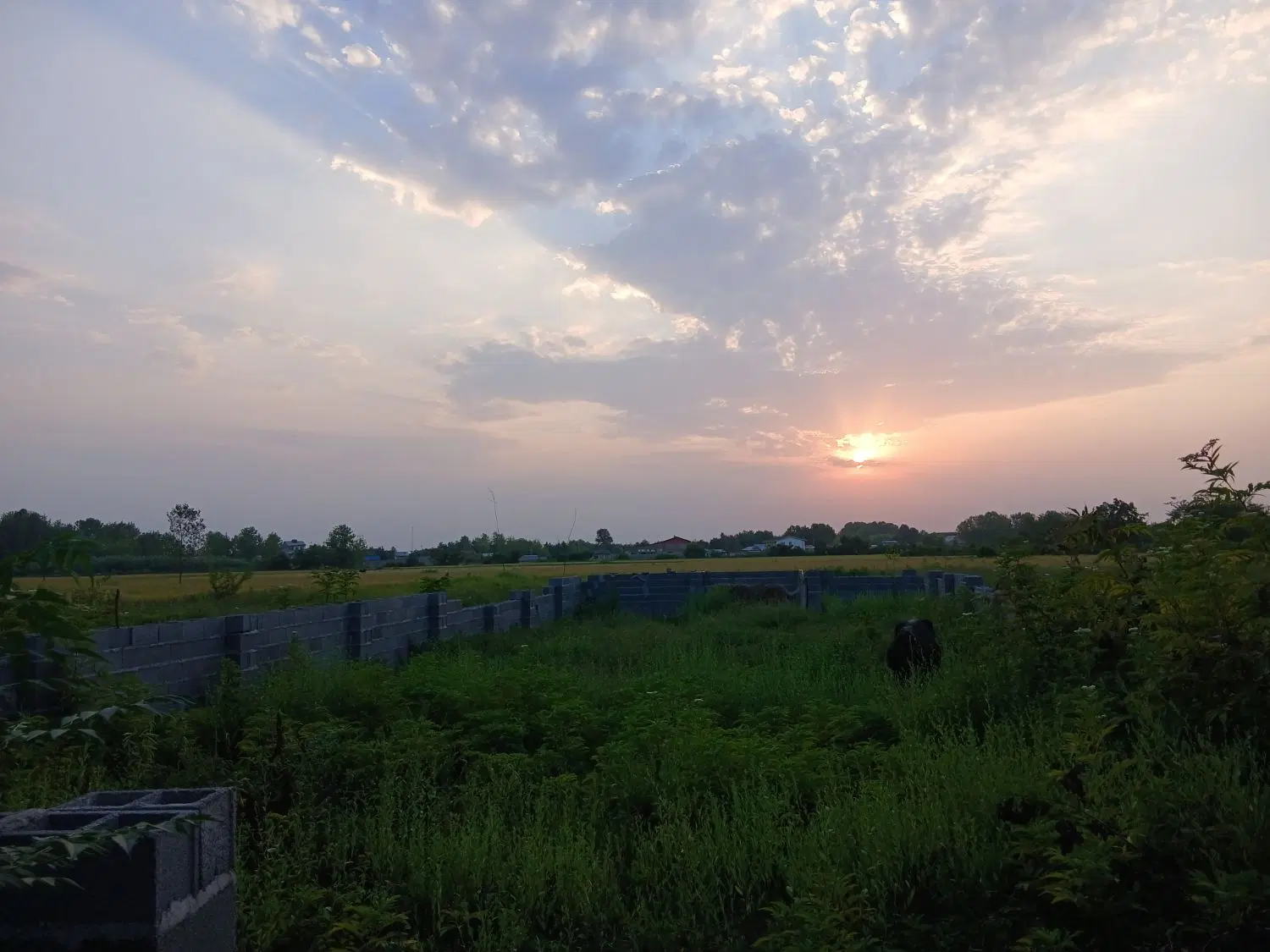 تصویر املاک 136909