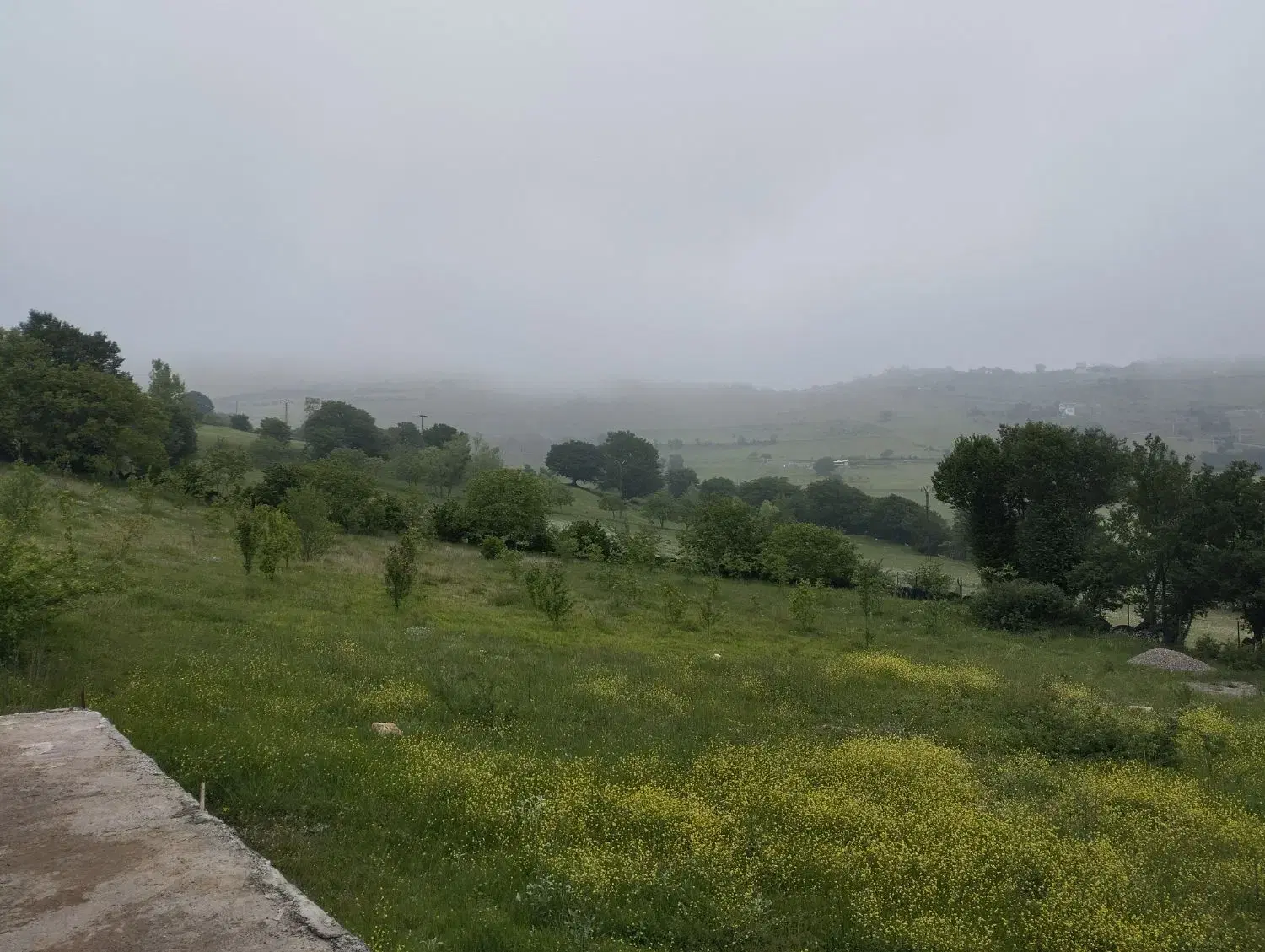 تصویر املاک 52264