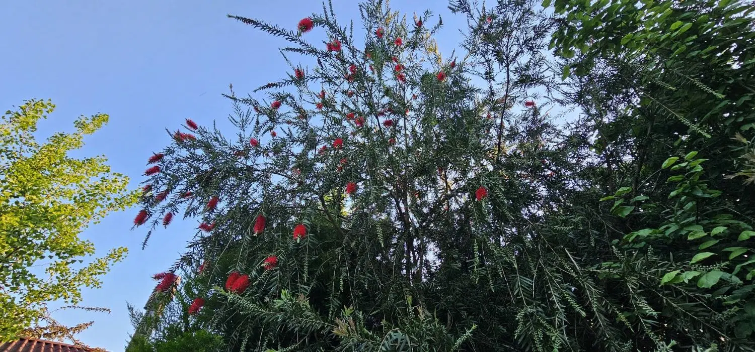 تصویر املاک 81977