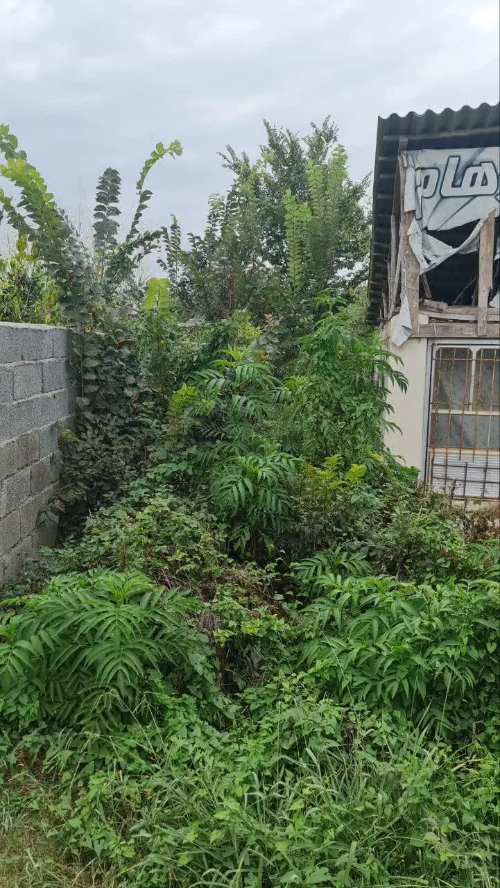 تصویر املاک 75734