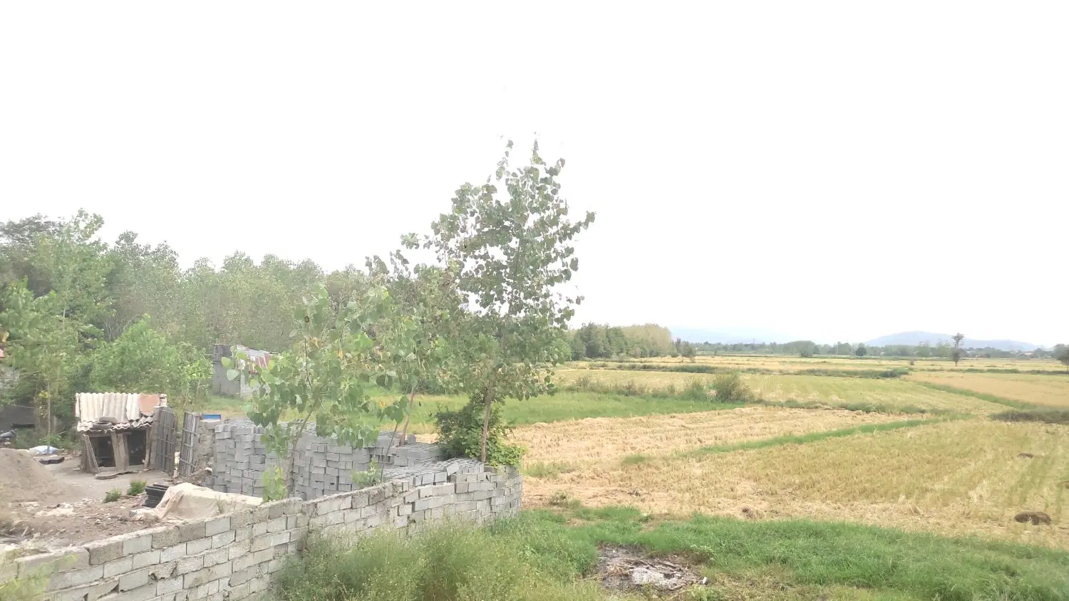 تصویر املاک 119644