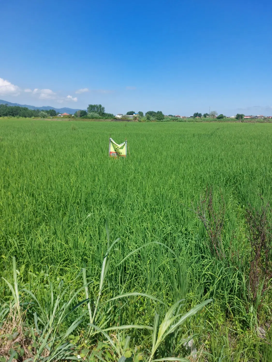 تصویر املاک 79147