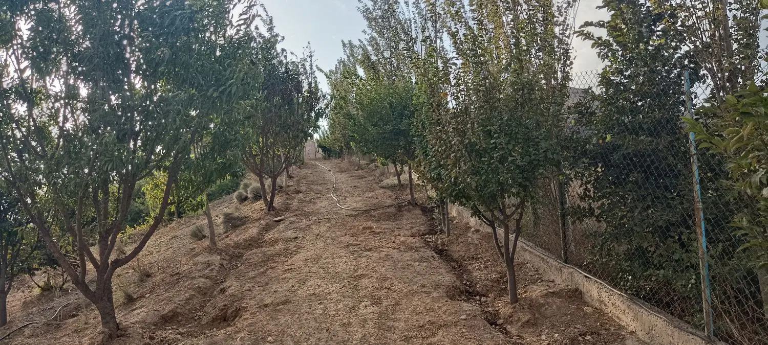 تصویر املاک 118540