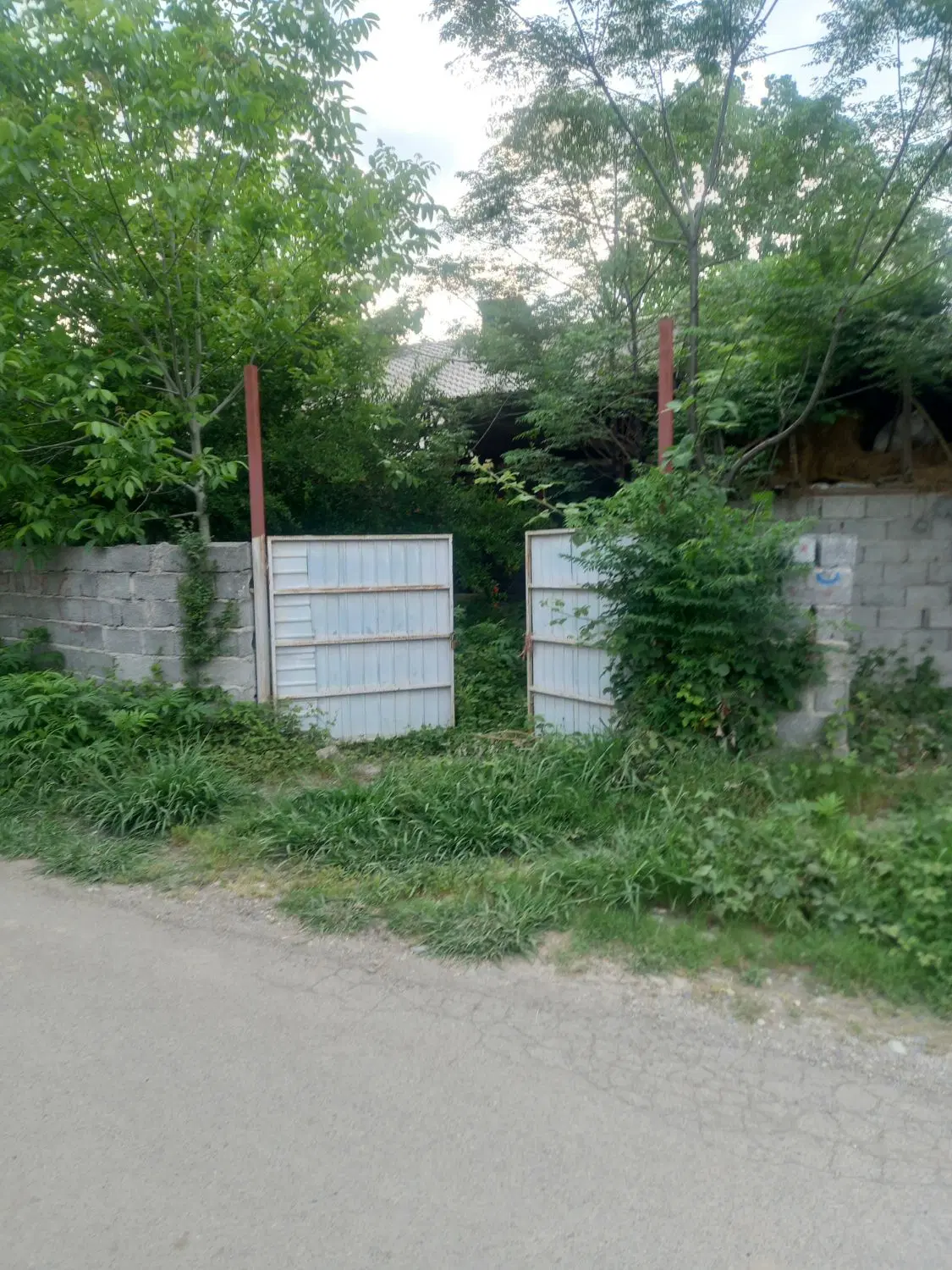 تصویر املاک 62941