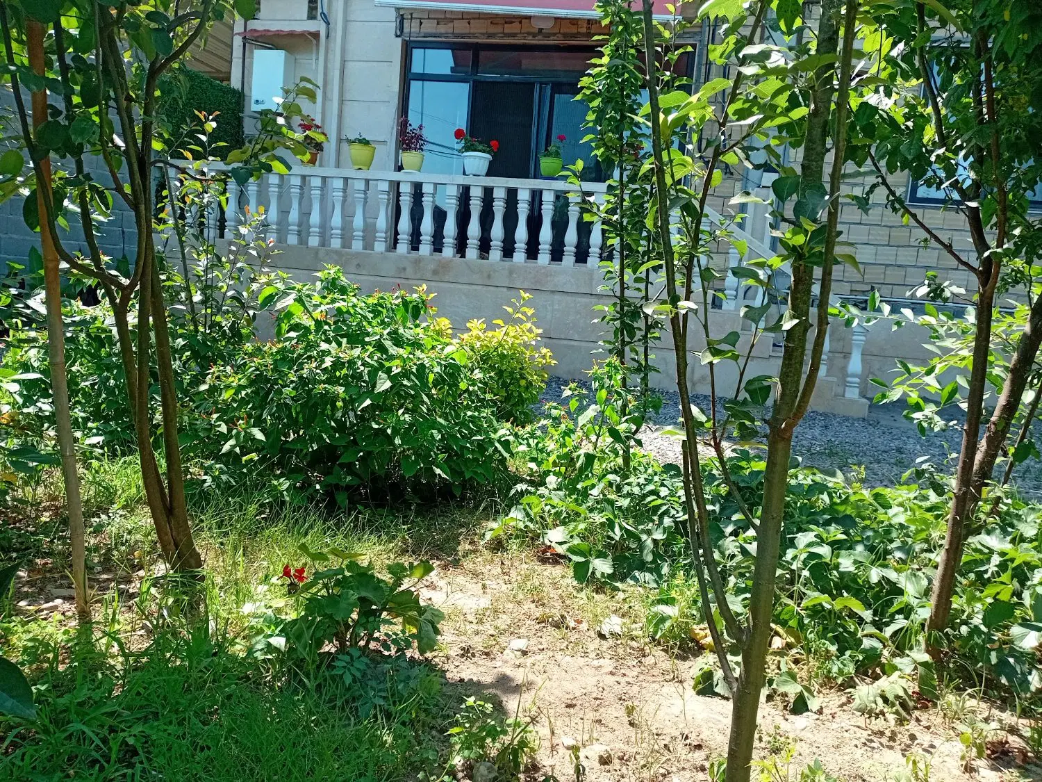 تصویر املاک 114025