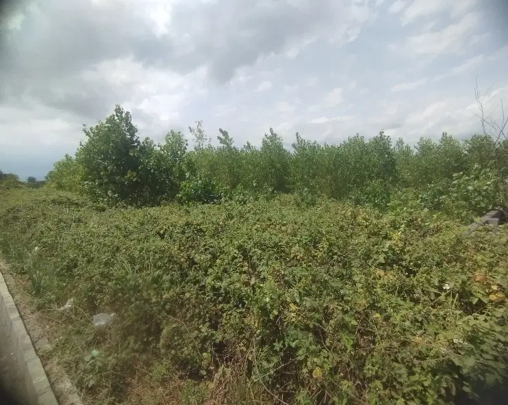 تصویر املاک 97999