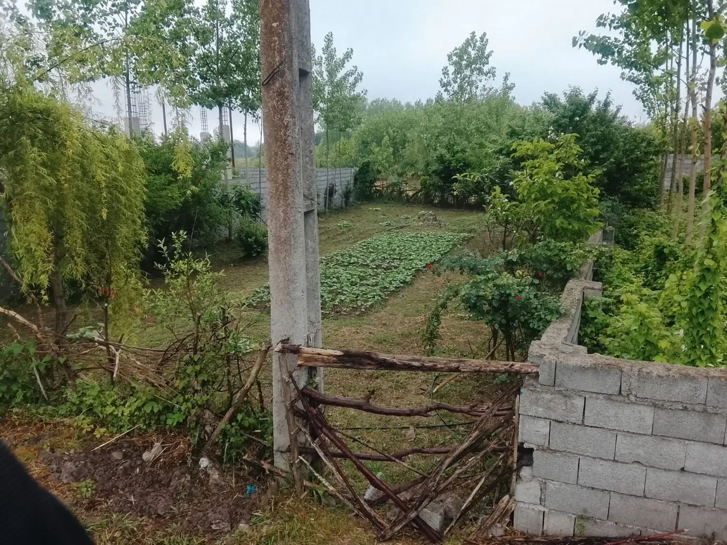 تصویر املاک 87833