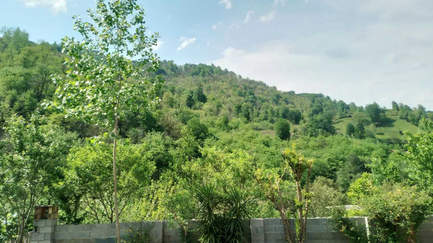 تصویر املاک 106296