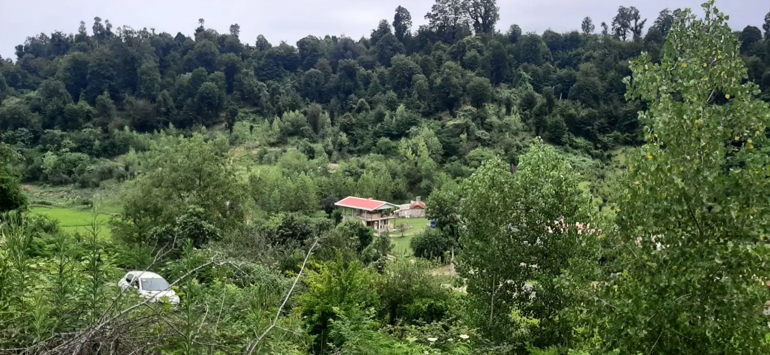 تصویر املاک 87417
